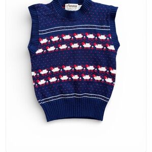 Woolen Amana Navy and Red Knit Sweater